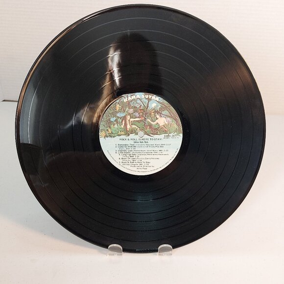 Sha Na Na ~ Rock and Roll is here to stay (Vinyl LP, 1973) - Picture 2 of 4